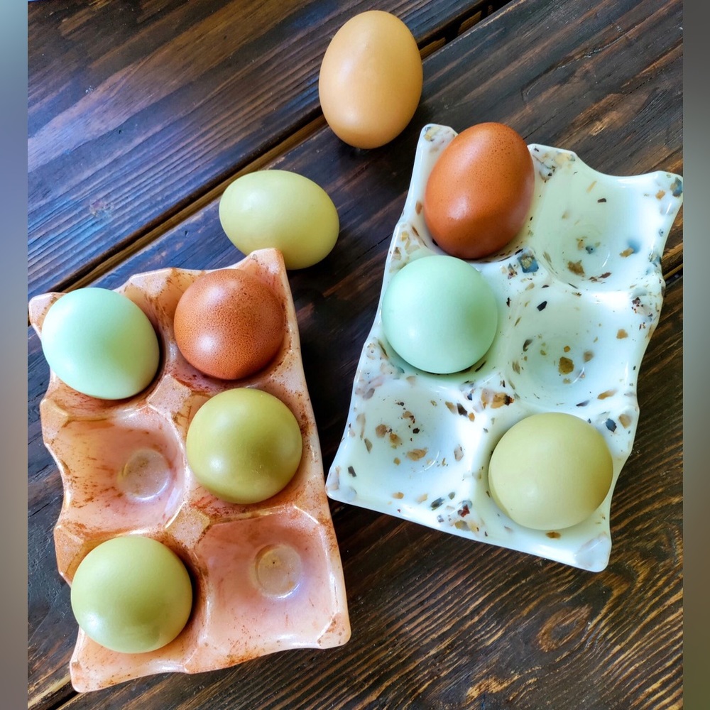Resin Egg Carton